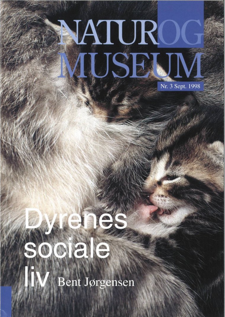 Dyrenes sociale liv